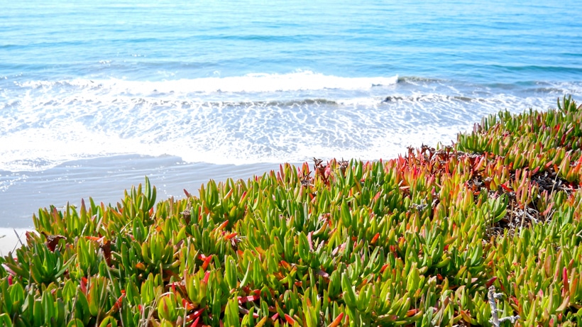 Crescent City California 2